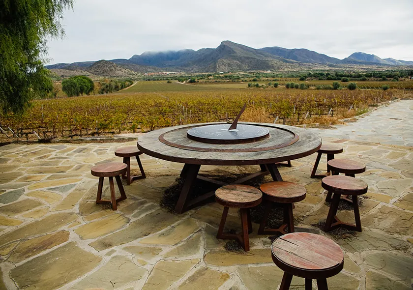 bodega-boutique-tarija-magri-tour-operator-01