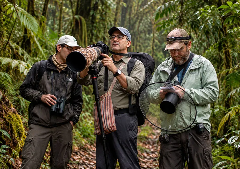 nueva-especie-de-felino-magri-tour-operator-06