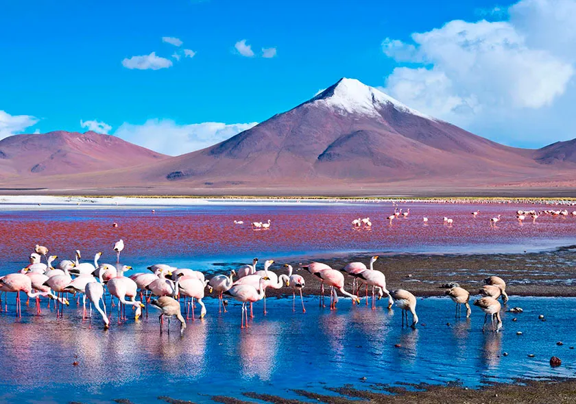 certificacion-preferred-by-nature-magri-tour-operator-07